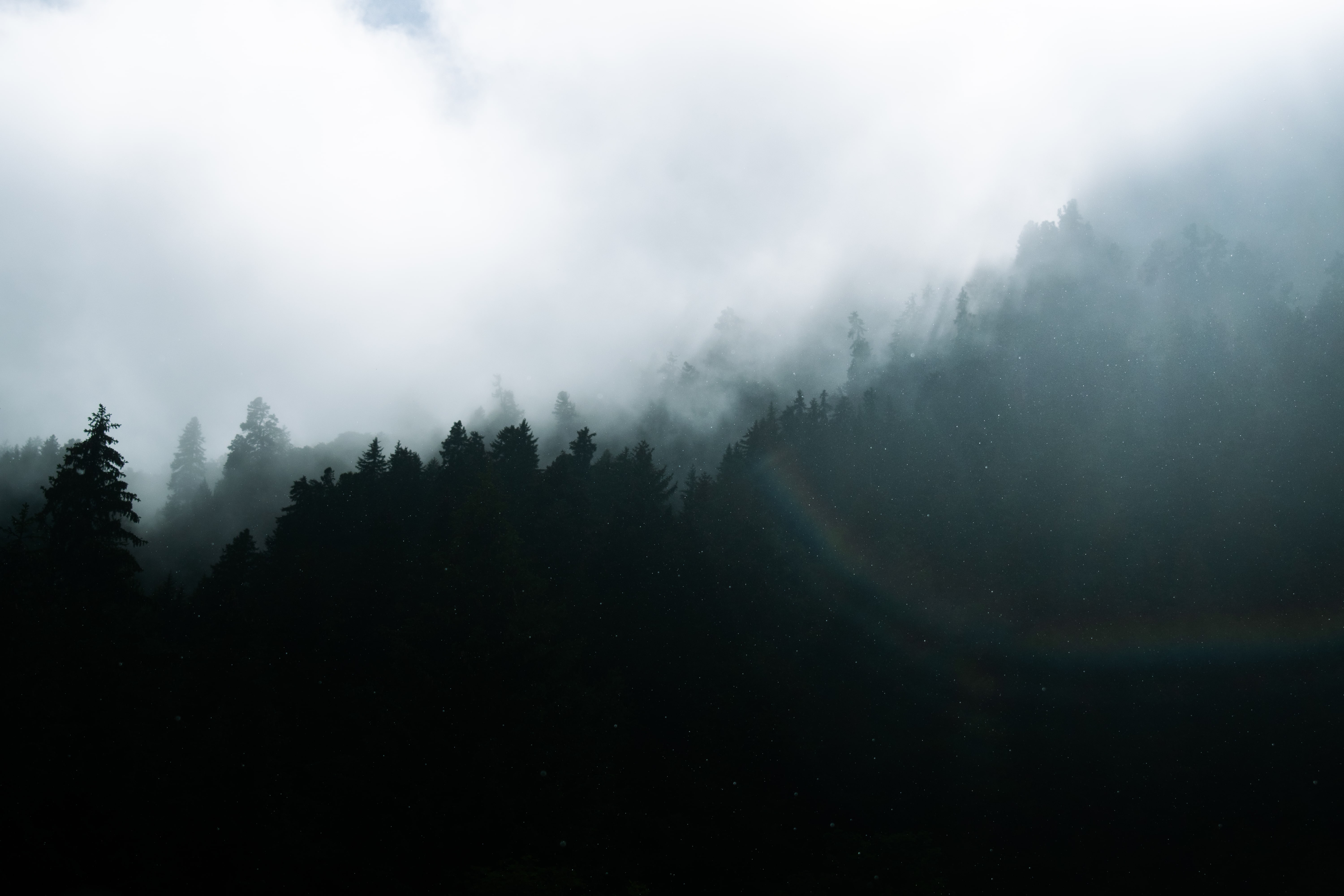 brouillard montagnard